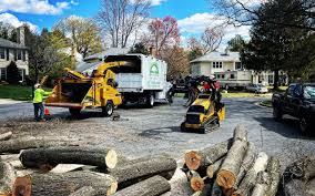 Best Leaf Removal  in Strongsville, OH
